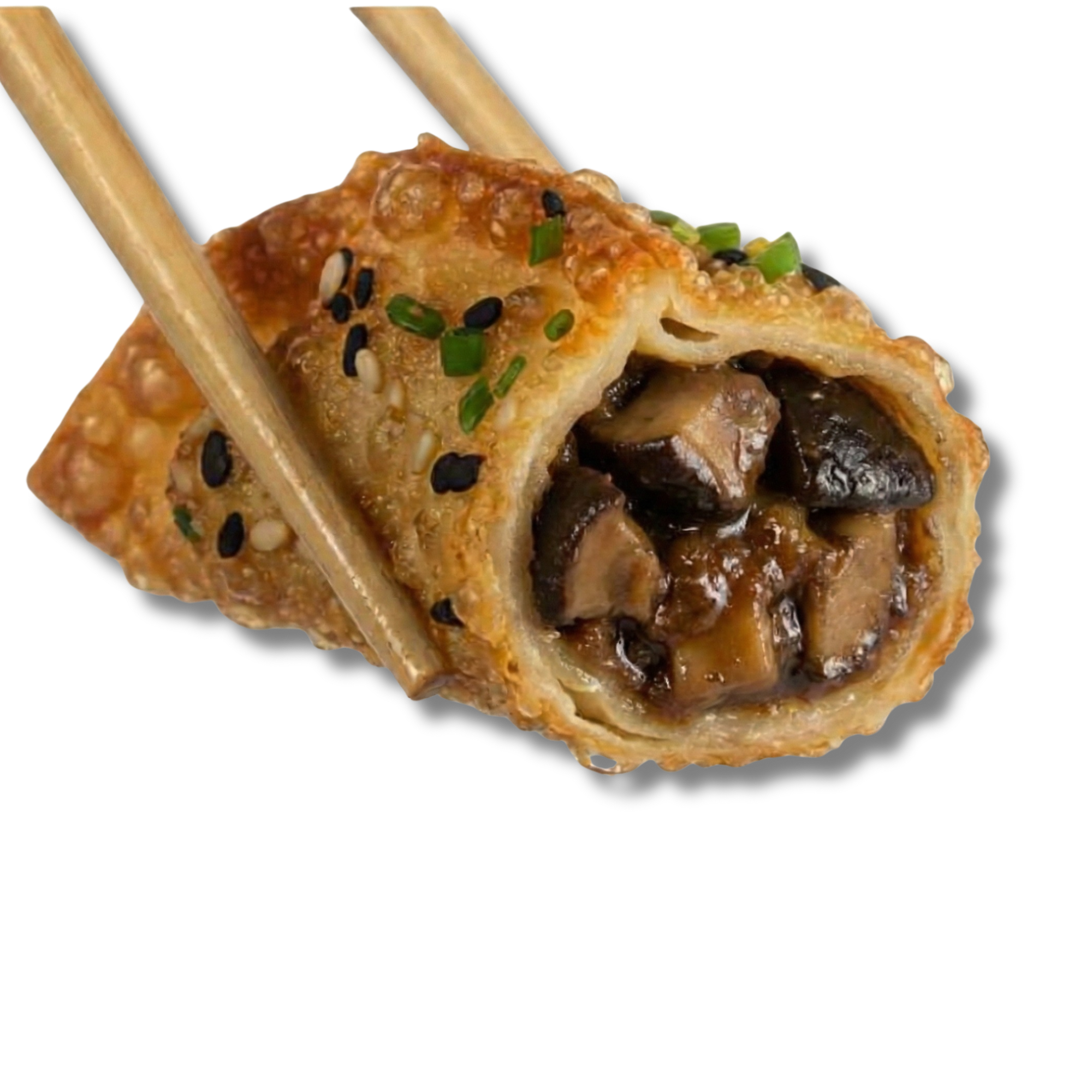 KINOKO (5U)